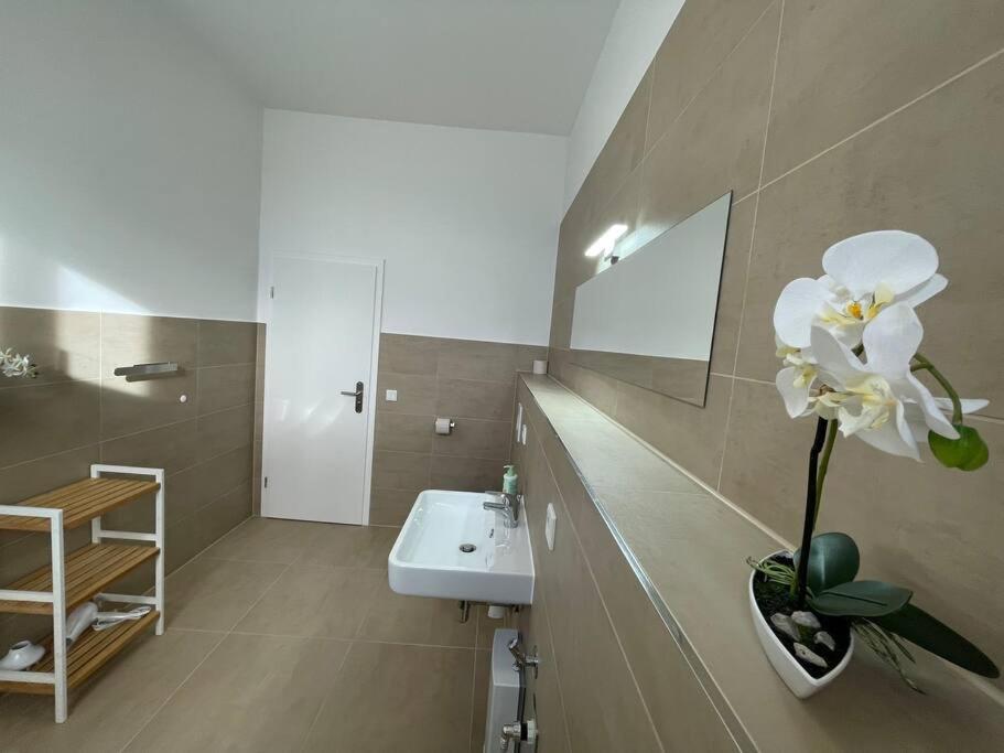 Lucky Stays Ls10 - Vollausstattung - Zentrum - Aufzug - Grosse Kueche - 2 Zimmer - Smart-Tv Magdeburk Exteriér fotografie